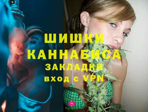 твердый Алзамай