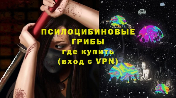 соль ск Алексин