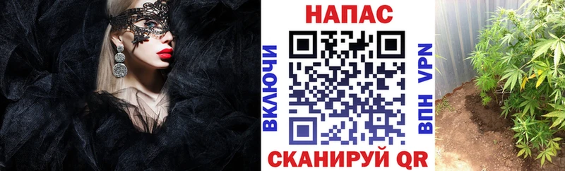 Конопля конопля  Ангарск 